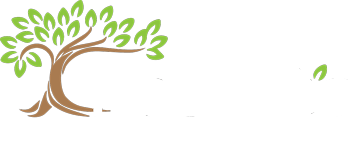 robert_tree_landscaping_web