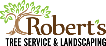 robert_tree_web